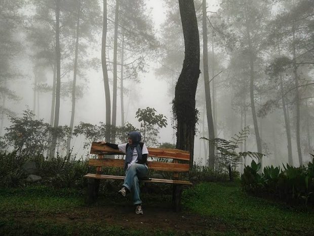 Orchid Forest Cikole Lembang | Tempat Wisata Alam di Bandung | Nchie Hanie