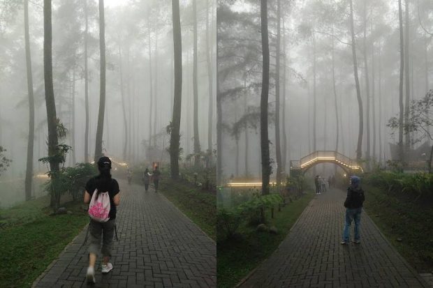 Orchid Forest Cikole Lembang | Tempat Wisata Alam di Bandung | Nchie Hanie