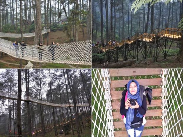 Orchid Forest Lembang, Destinasi Digital, Edu Tourism, Sport Tourism, Nomadic Tourism, One Stop Family Adventure, Tempat Wisata di Lembang